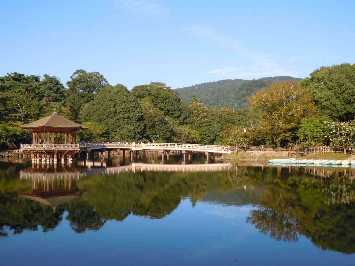 Nara tour package