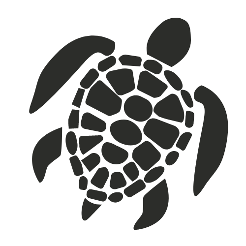 bali sea turtle